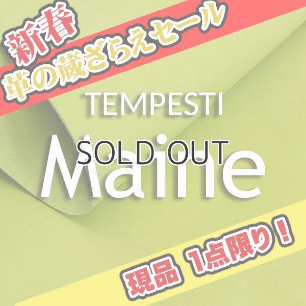 画像1: 【セール】1/2カット Maineマイネ(Clorofilla) (1)