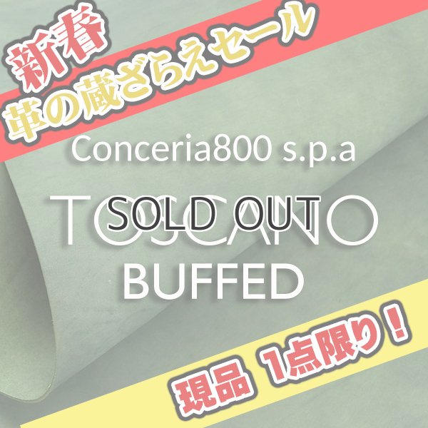 画像1: 【セール】1/2カット Conceria800 トスカーノバフ (Verde) (1)