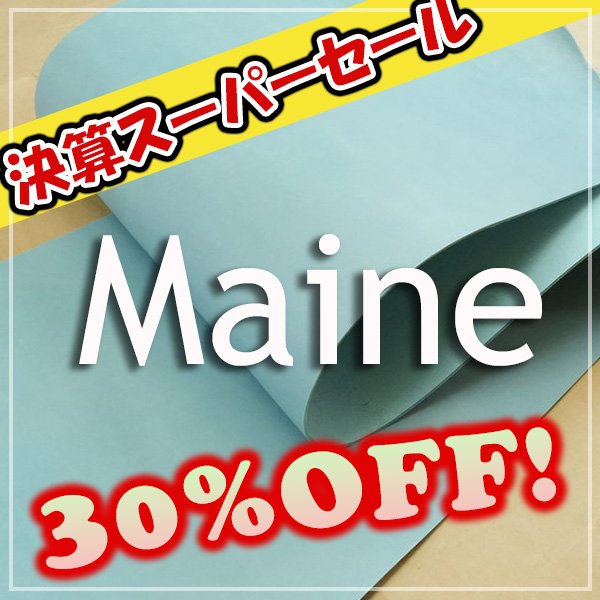 画像1: 【セール】ロール MAINE マイネ (LAGUNA) (1)