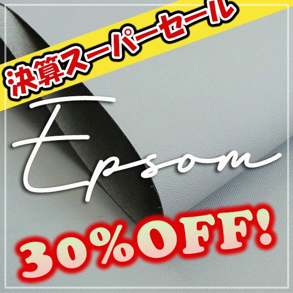 画像1: 【セール】ロール EOSOM エプソン (IceGray) (1)