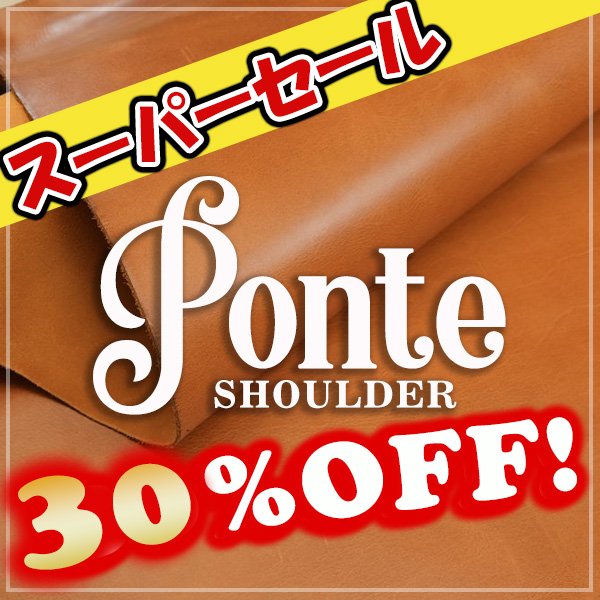 画像1: 【Wショルダー全判】 Ponte Shoulder ポンテショルダー (Aranico) (1)