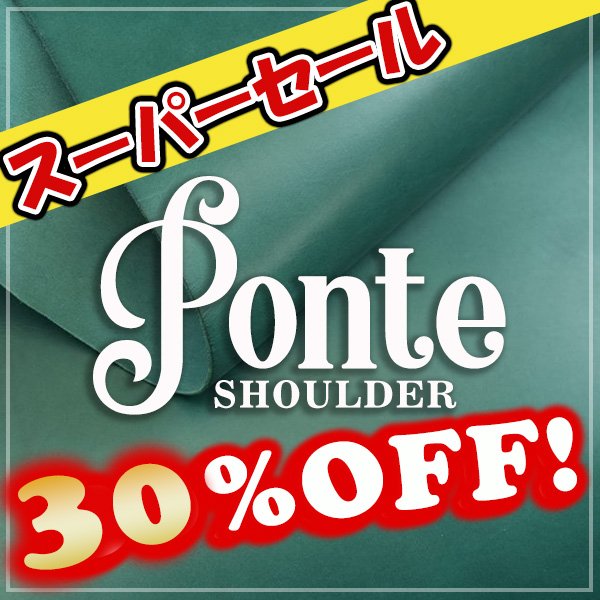 画像1: 【Wショルダー全判】 Ponte Shoulder ポンテショルダー (TurkyBlu) (1)