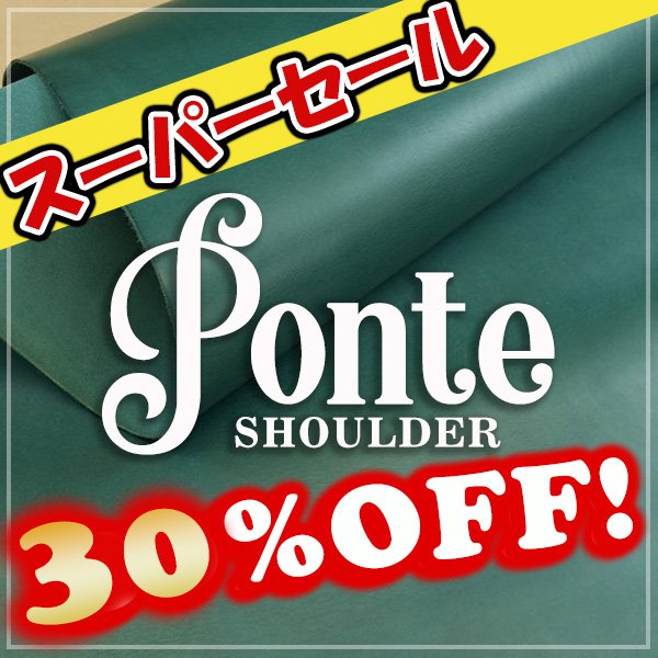 画像1: 【Wショルダー全判】 Ponte Shoulder ポンテショルダー (TurkyBlu) (1)