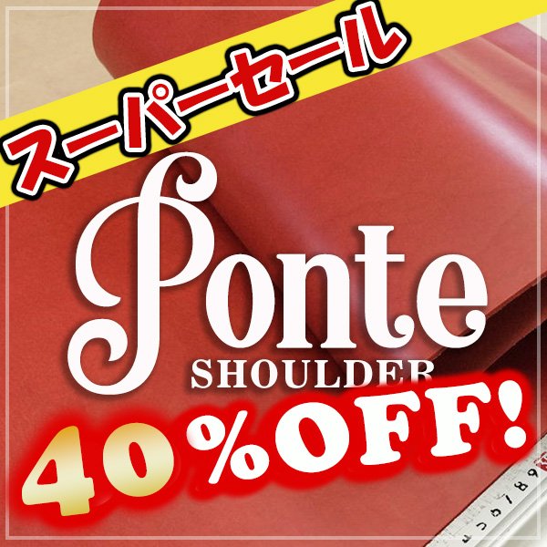 画像1: 【ロール】 Ponte Shoulder ポンテショルダー(Rosso) (1)
