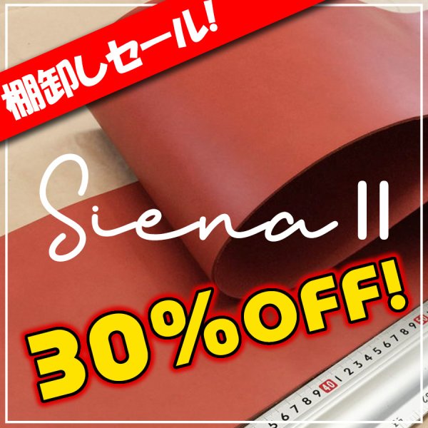 画像1: 【セール】ロール SIENAII(シエナ2)RDレッド (1)