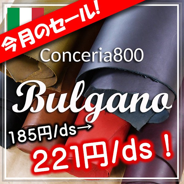 05017 Conceria800 ブルガノ セール