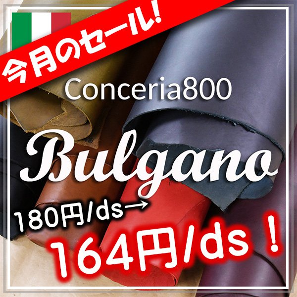 05017 Conceria800 ブルガノ 