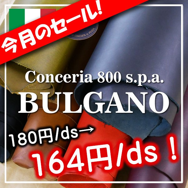 画像1: (セール)CONCERIA800ブルガノ (1)