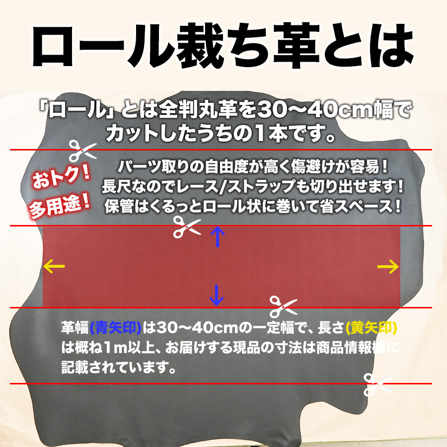 カット見本